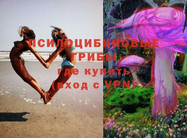a pvp Абинск