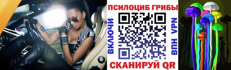 Псилоцибиновые грибы GOLDEN TEACHER  Богданович 