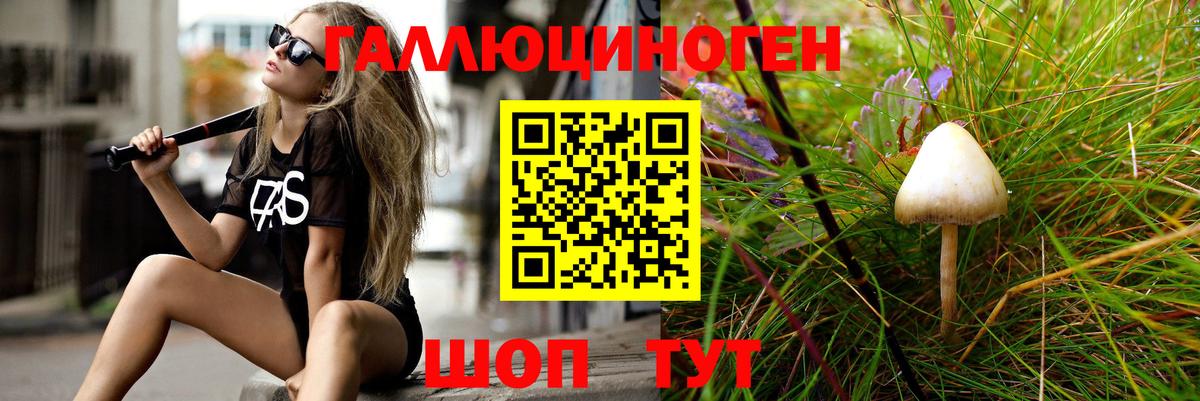 Галлюциногенные грибы мицелий  Вход с VPN  Богданович 