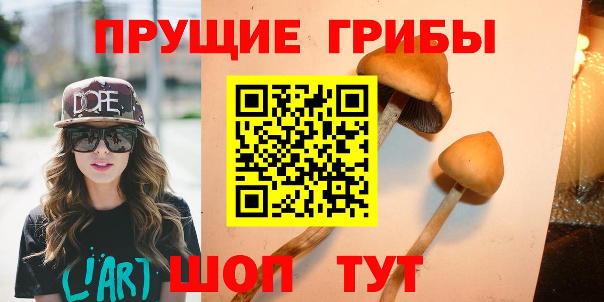 Псилоцибиновые грибы Cubensis Богданович